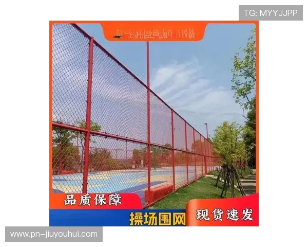 足球场护栏围栏高度标准及其对比赛安全性的影响分析